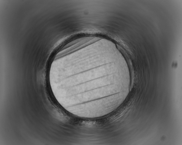 X0000099980440200806201429