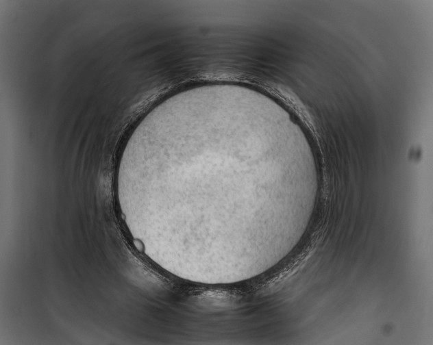 X0000099980441200806201429