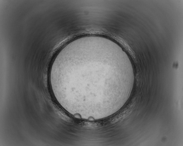 X0000099980442200806201429