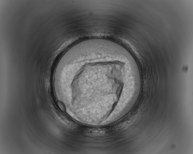 X0000099980443200806201429