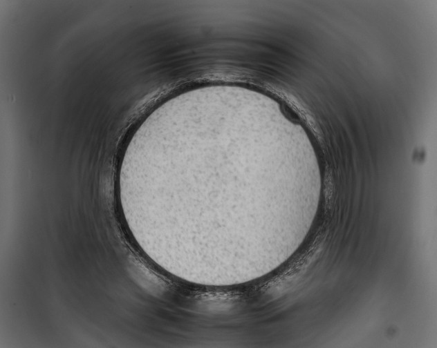 X0000099980445200806201429