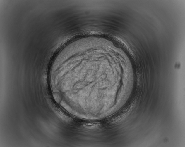 X0000099980447200806201429