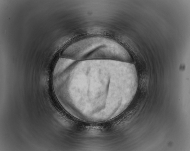 X0000099980448200806201429