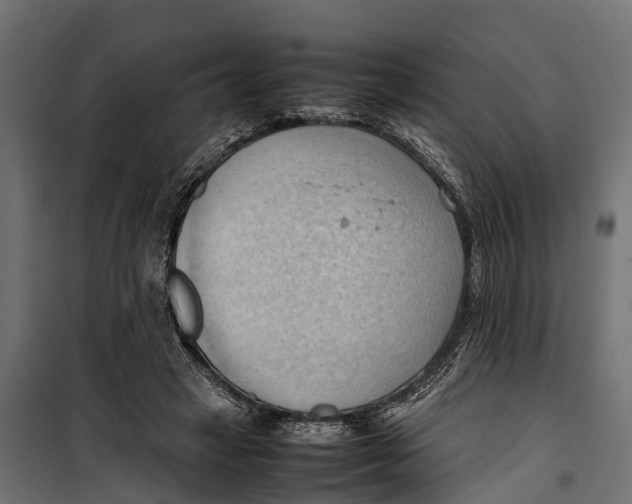 X0000099980449200806201429