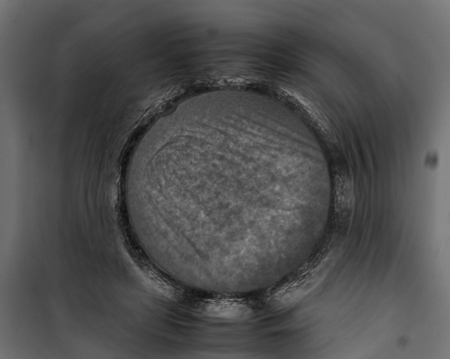 X0000099980451200806201429