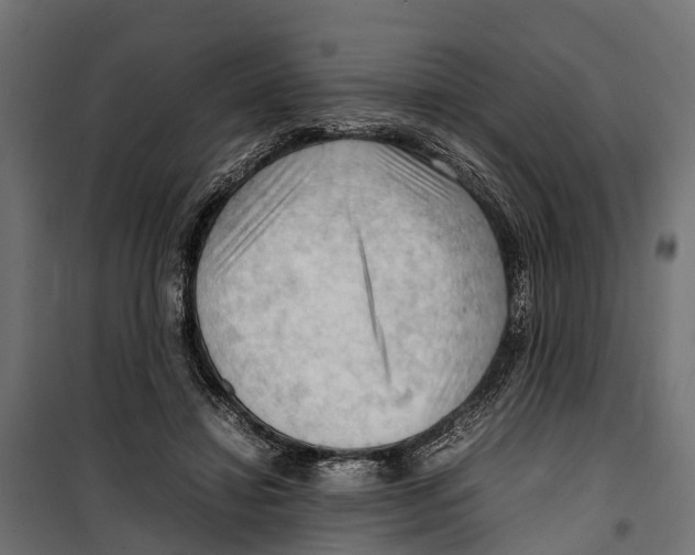 X0000099980452200806201429