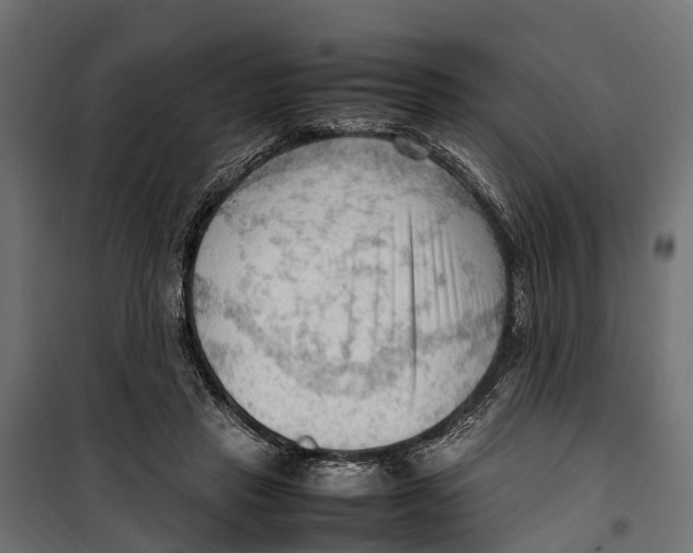 X0000099980453200806201429