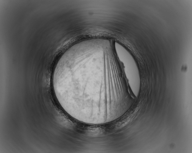 X0000099980454200806201429