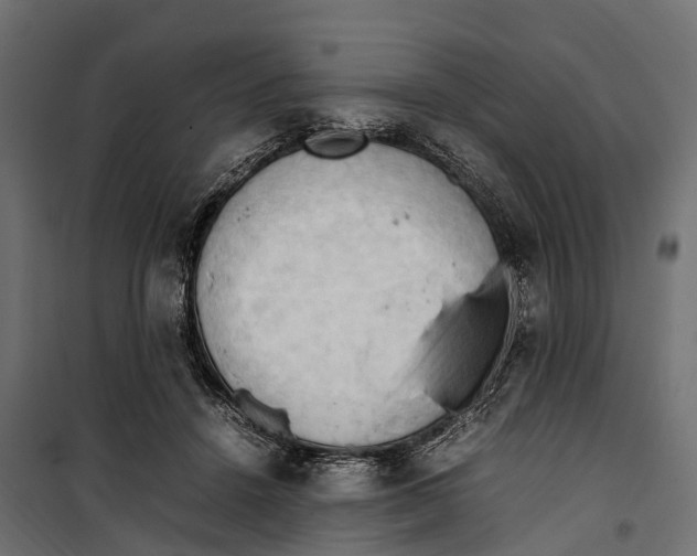 X0000099980456200806201429