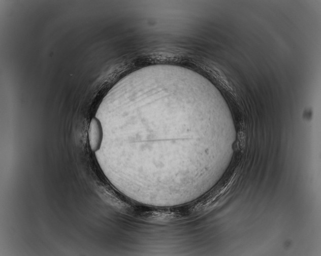 X0000099980458200806201429