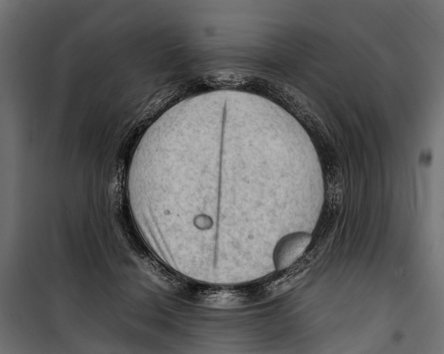 X0000099980460200806201430