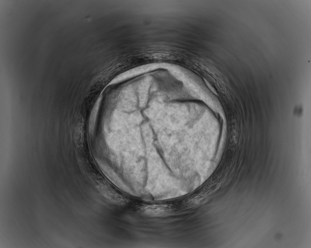 X0000099980461200806201430