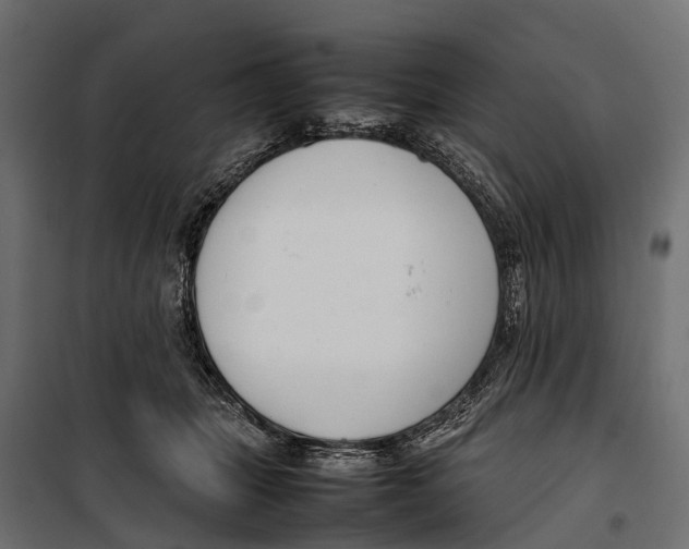 X0000099980463200806201430