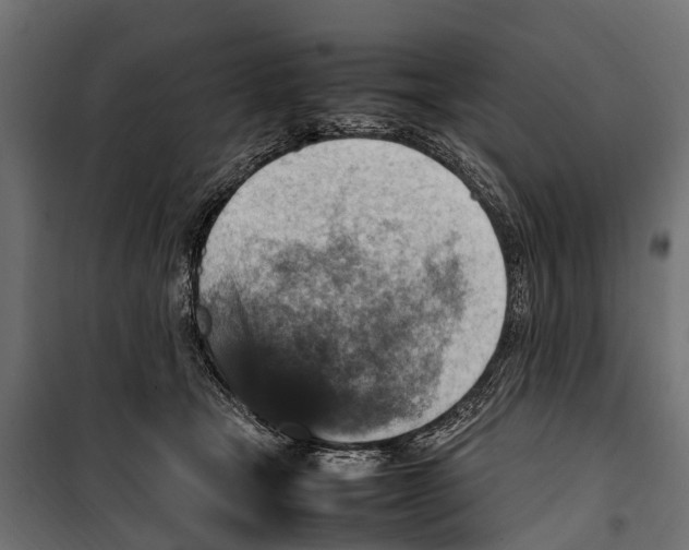 X0000099980465200806201430