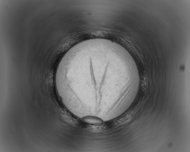 X0000099980466200806201430