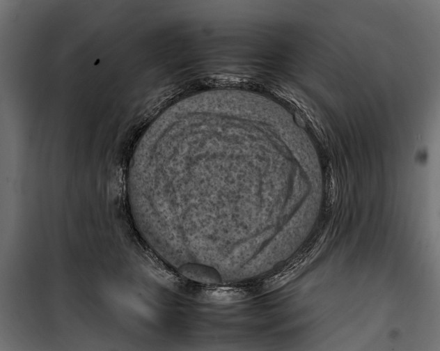 X0000099980467200806201430