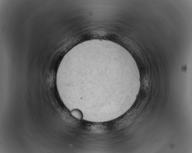 X0000099980468200806201430