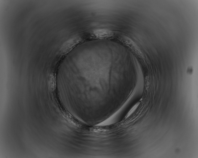 X0000099980471200806201430