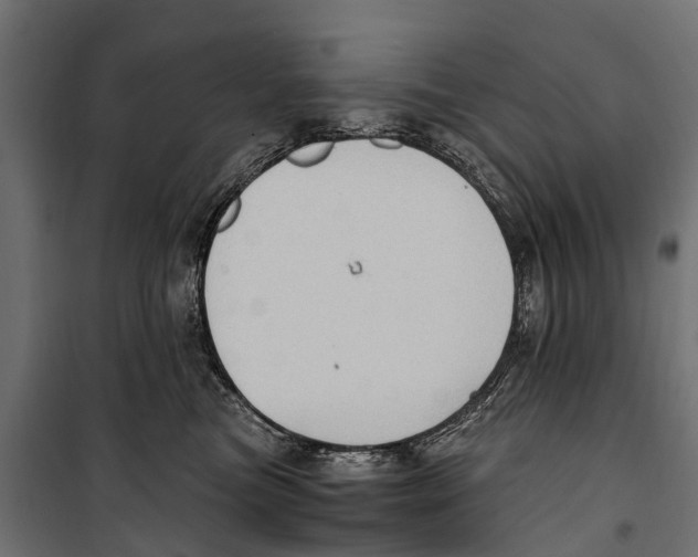 X0000099980473200806201430