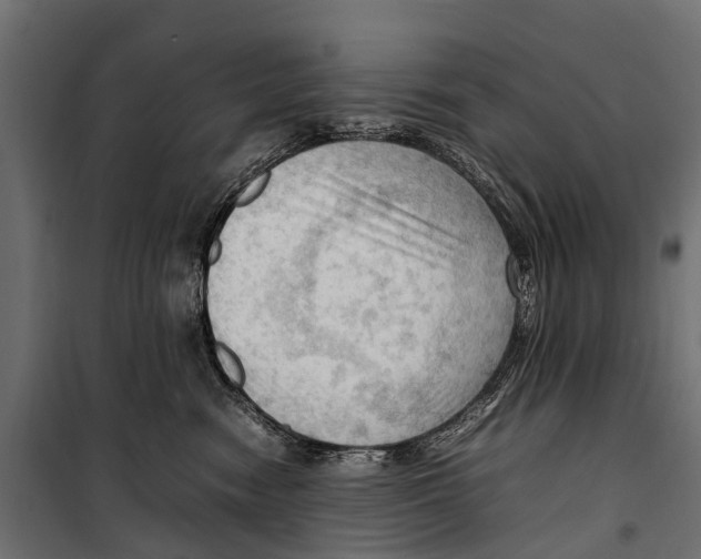 X0000099980474200806201430