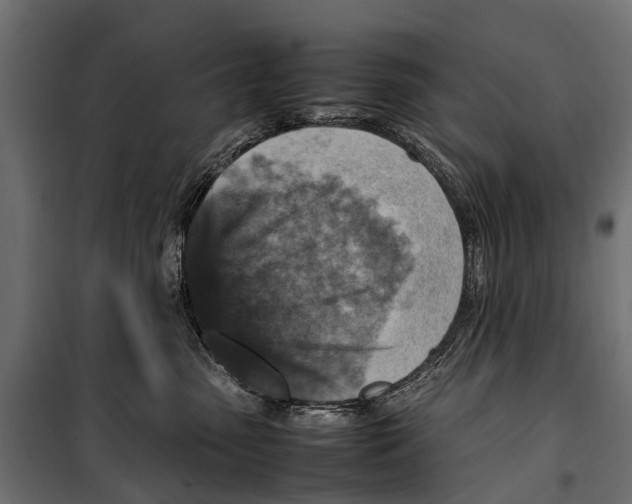 X0000099980475200806201430