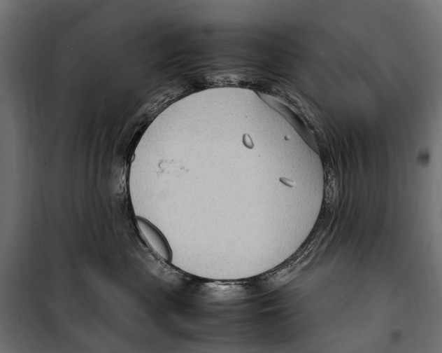 X0000099980477200806201430