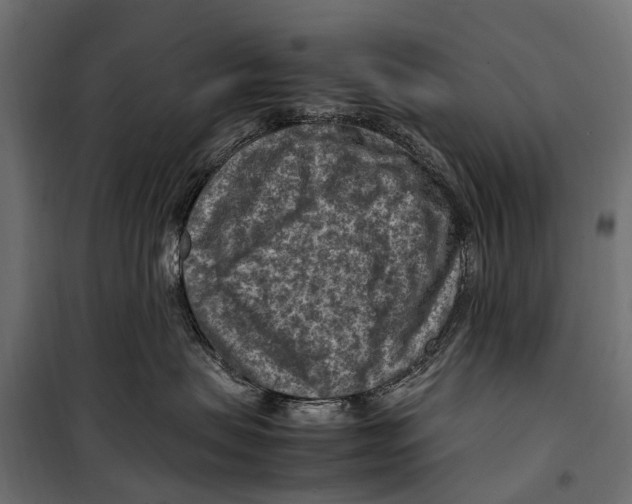 X0000099980479200806201430