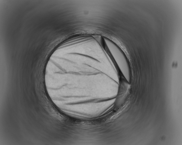 X0000099980481200806201429