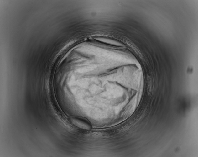 X0000099980482200806201429