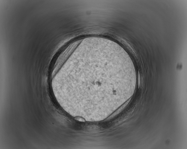 X0000099980483200806201429