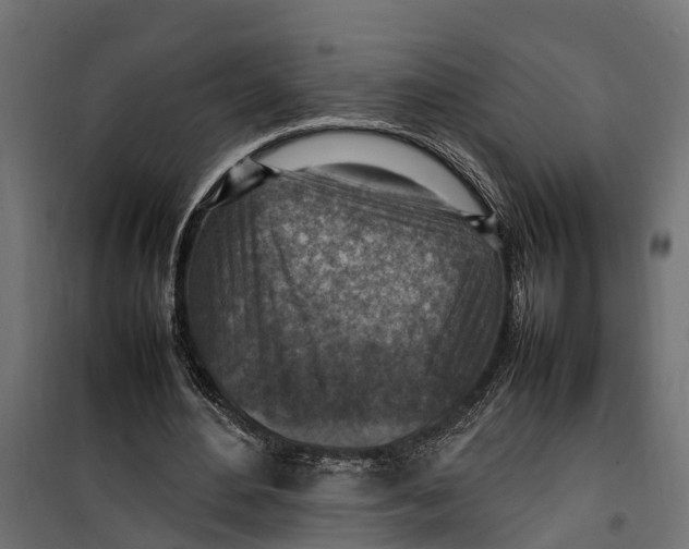 X0000099980484200806201429