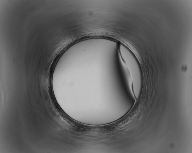 X0000099980485200806201429