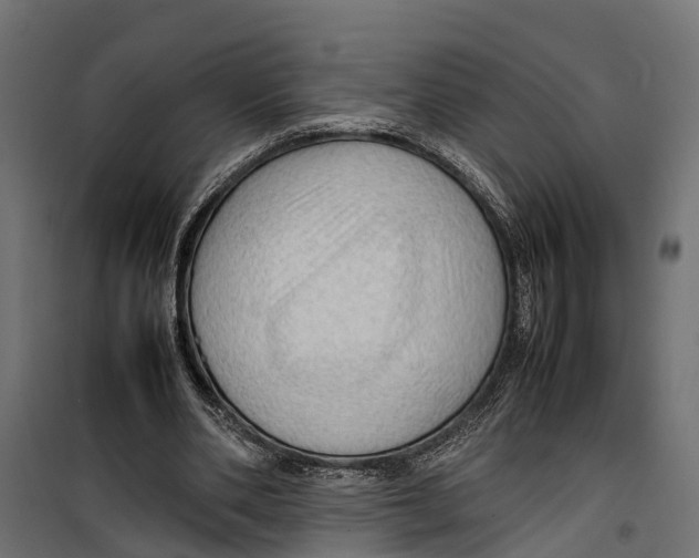 X0000099980486200806201429