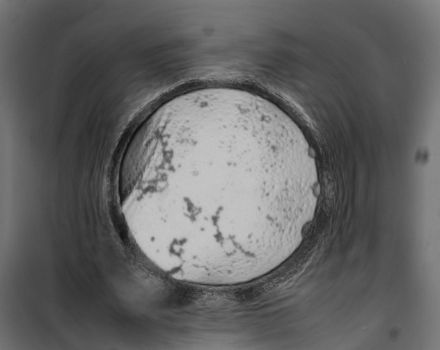 X0000099980487200806201429