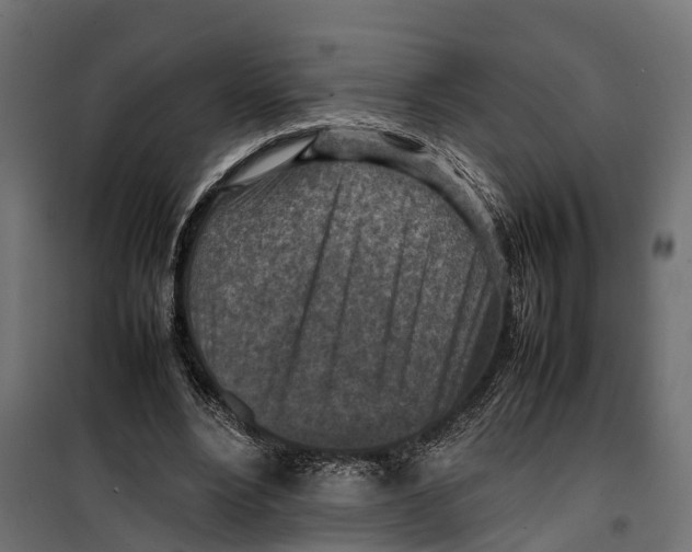 X0000099980488200806201429