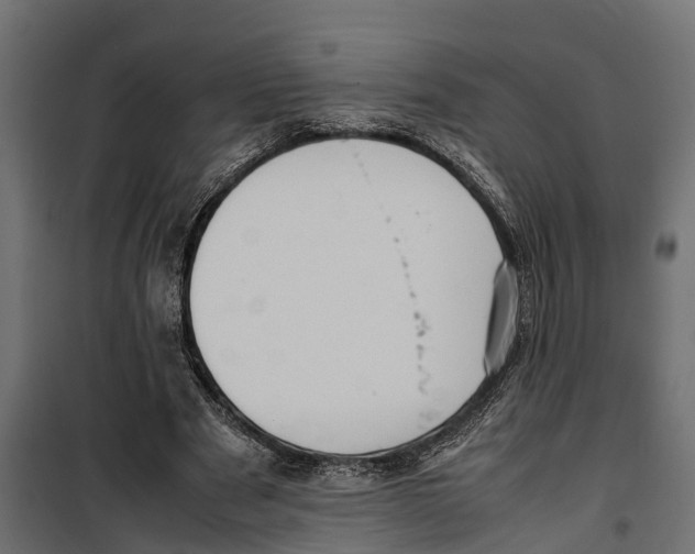 X0000099980489200806201429