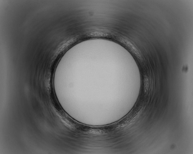 X0000099980490200806201429