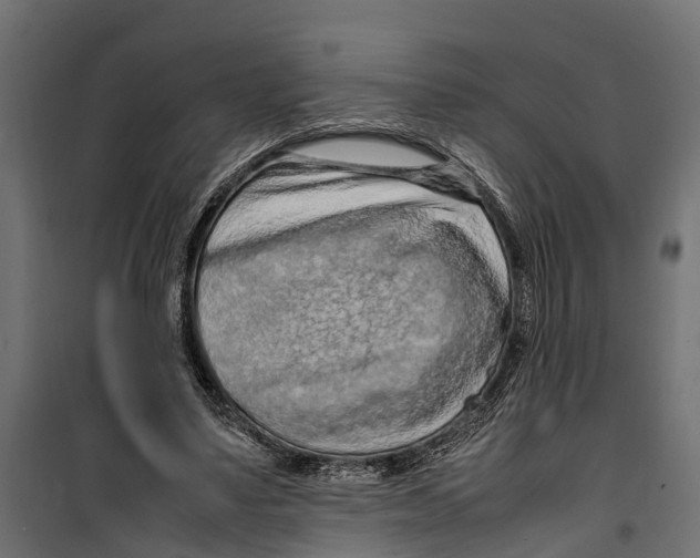 X0000099980491200806201429