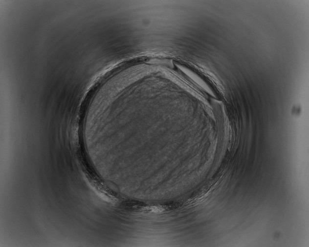 X0000099980492200806201429