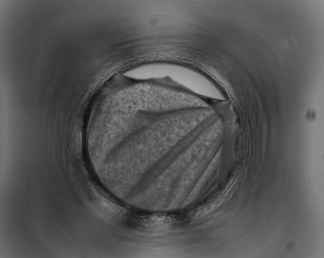 X0000099980493200806201429