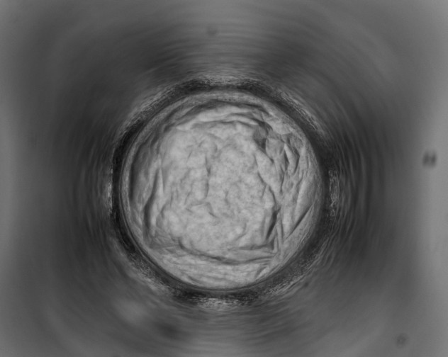 X0000099980494200806201429