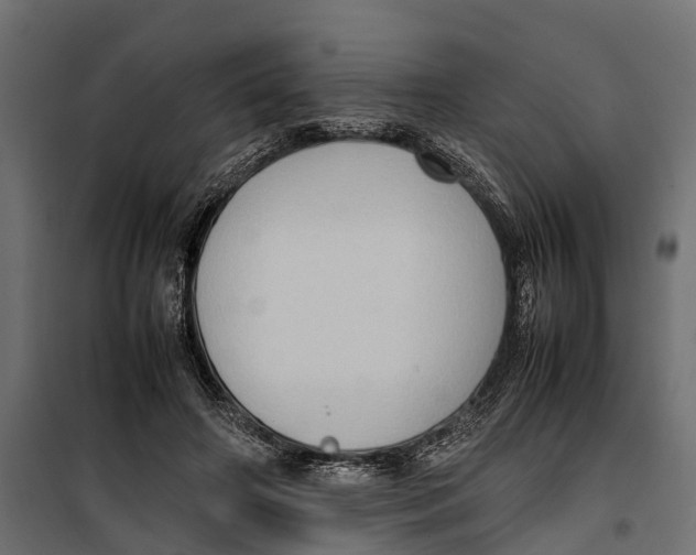 X0000099980498200806201429