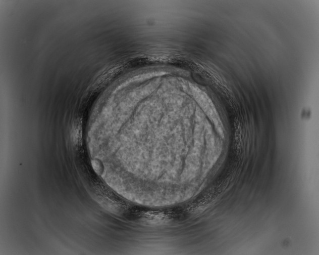 X0000099980502200806201429