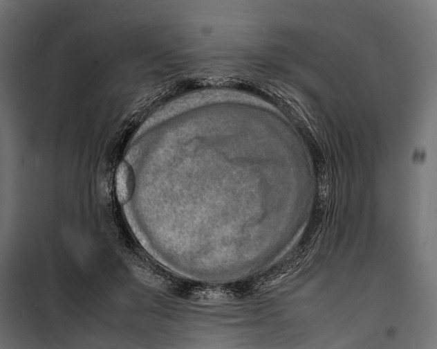 X0000099980503200806201429