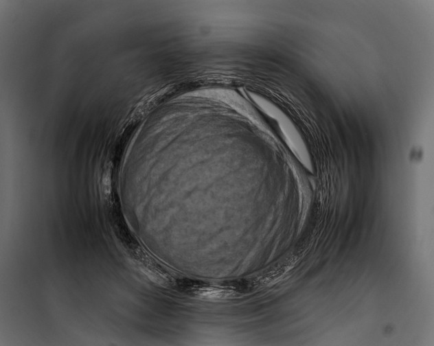 X0000099980504200806201429