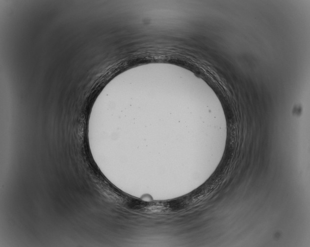 X0000099980505200806201429