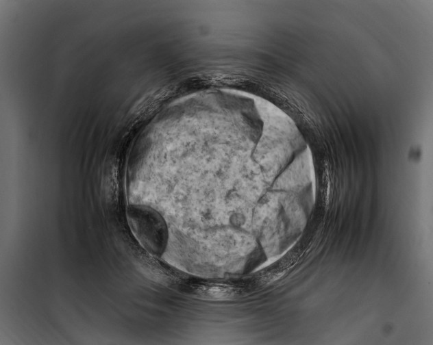 X0000099980506200806201429