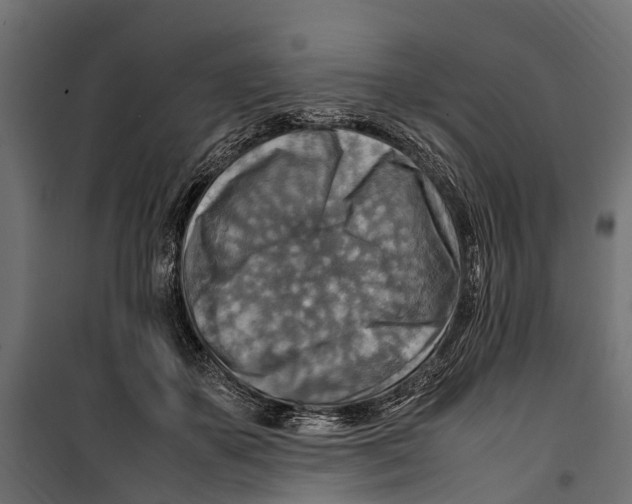 X0000099980507200806201429