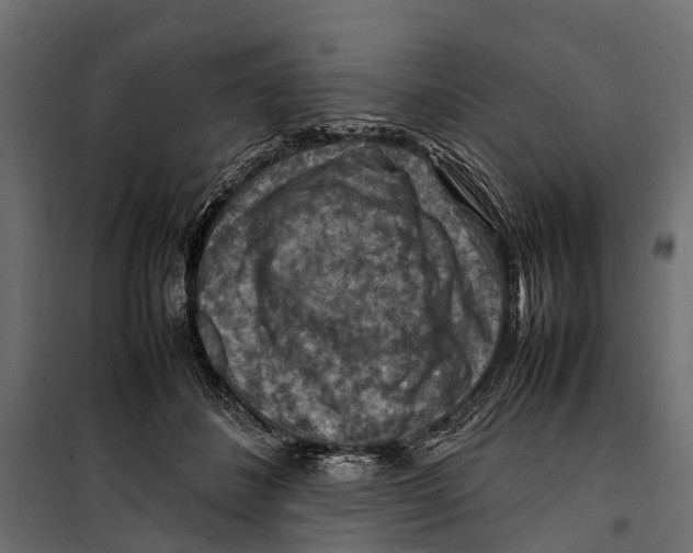 X0000099980508200806201429