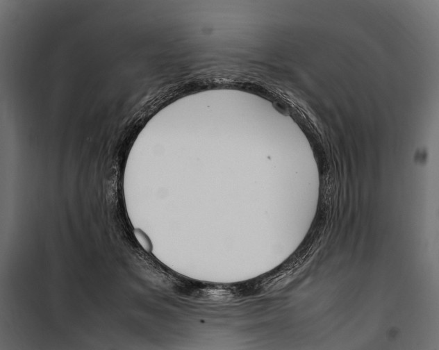 X0000099980509200806201429